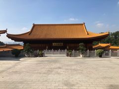 -深圳仙湖植物园