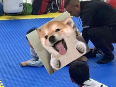 -健成运动中心·体适能跆拳道少儿格斗体考跳绳