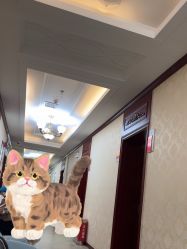 -南京医科大学友谊整形外科医院