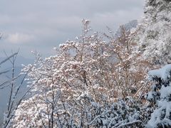 -九皇山景区