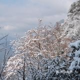 成都周边游｜三小时到达超美雪山🏔️