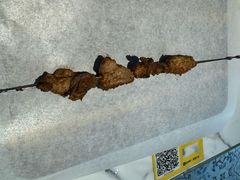-欧提汗·新疆餐厅·清真(银都路店)