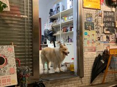 -豆舞咖啡(民乐路店)