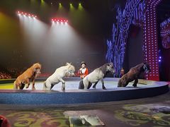 -珠海横琴长隆《卡卡虎奇遇记》