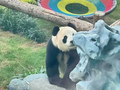 -大连森林动物园