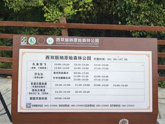 -西双版纳原始森林公园