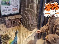 -酷嗒动物文化乐园(cutezoo西溪乐天城店)