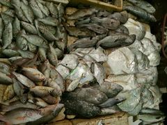 android_upload_pic-尼甘布海鲜市场