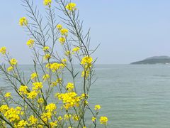 -苏州吴中太湖旅游区