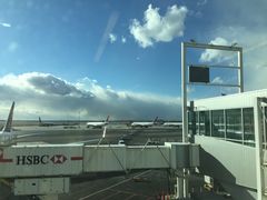 -约翰·菲茨杰拉德·肯尼迪国际机场