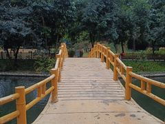 -晓港公园
