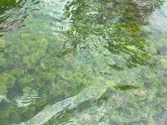 -靖西鹅泉风景区