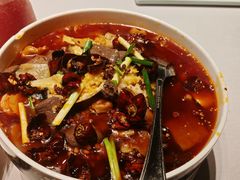 -四世同堂·京菜·烤鸭(双井店)