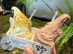 -野人先生Gelato(上海长宁龙之梦店)