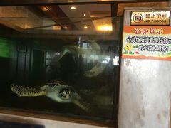 -外沙疍家棚酒楼