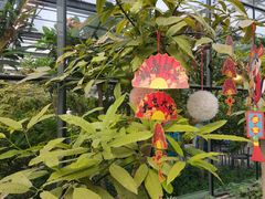 -南宫五洲植物乐园