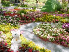 -上海鲜花港