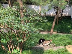 -秋霞圃