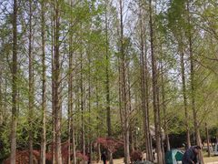 -济南森林公园