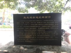 -真庆观