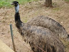 -石家庄市动物园