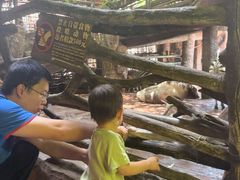 -长鹿旅游休博园
