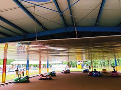 -上海海湾国家森林公园