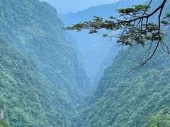 -峨眉山风景名胜区
