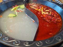 -杨家火锅(国美店)