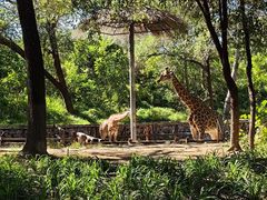 -北京野生动物园