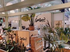 -Seesaw Coffee(上海太阳宫K46店)