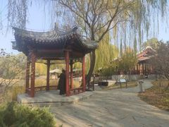 -北坞公园