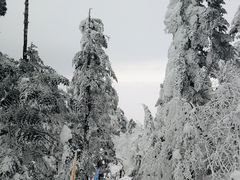 -峨眉山风景名胜区
