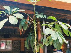 -VOYAGE COFFEE(北锣鼓巷店)