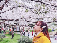 -堤角公园