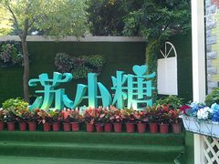 -苏小糖(鼓浪屿三丘田花园店)