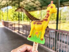 -秦皇岛野生动物园
