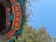 -独树成林