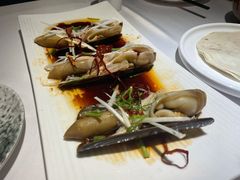 油泼特大蛏子-开海·红岛海鲜虾水饺(石老人店)
