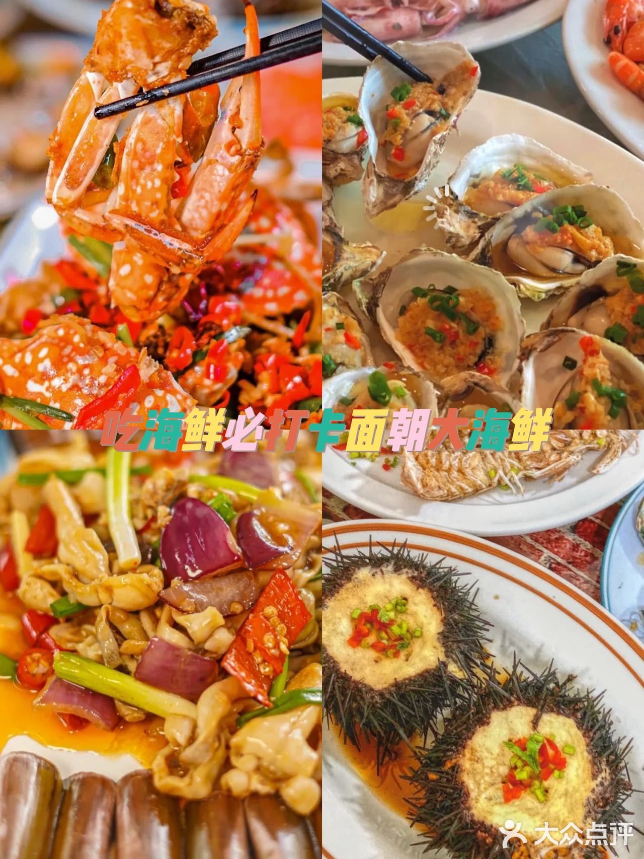  美食博主推荐这家海口老字号面朝大海鲜