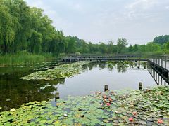 -昆山城市生态森林公园