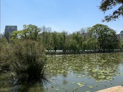 -翠湖公园