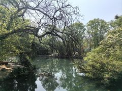 -花溪公园