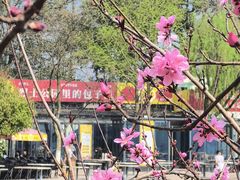 -食膳公园包子铺(烈士公园店)