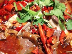 -绿茶餐厅(华联万柳店)