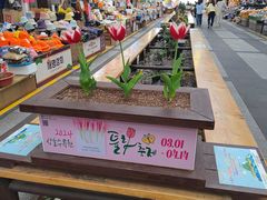 -西归浦每天偶来市场