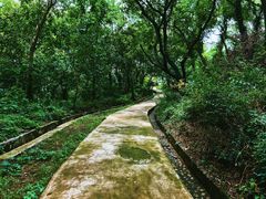 -南京市江宁方山