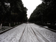 -陕西师范大学(雁塔校区)