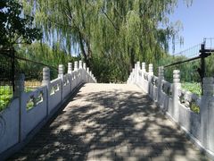 -东升八家郊野公园