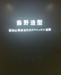 点击看大图 -藤野造型